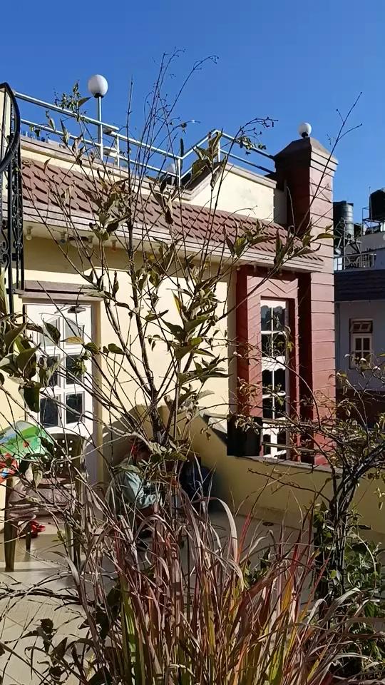 Roof terrace, before